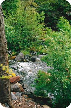 Rounded Rectangle 32