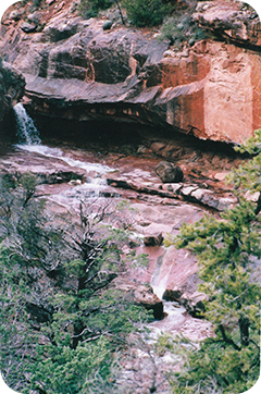 Rounded Rectangle 35