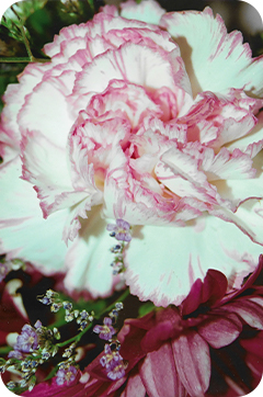 Rounded Rectangle 37